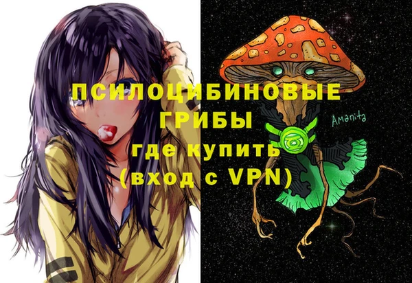 герыч Алексин