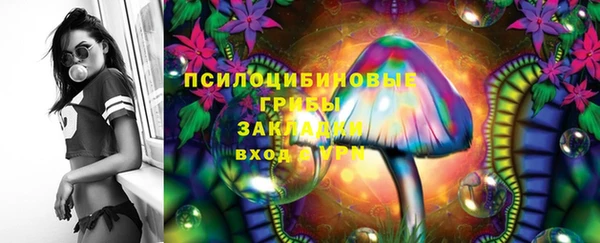 spice Алзамай